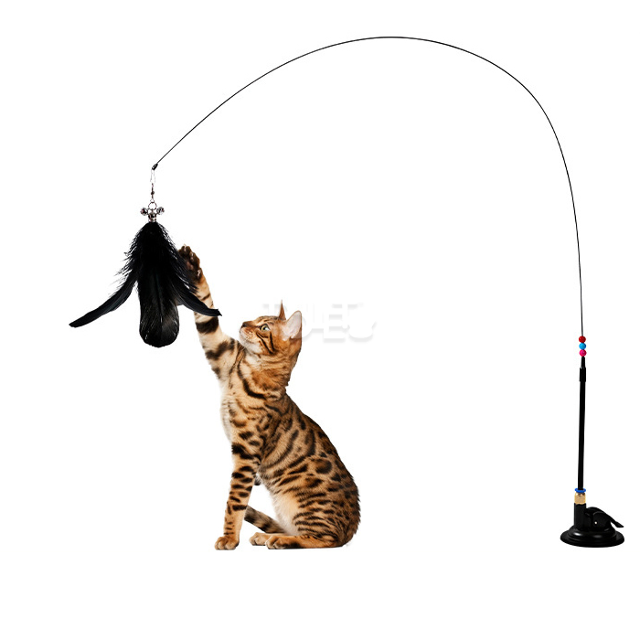 Cat Feather Toys